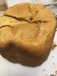 かんきつパン1